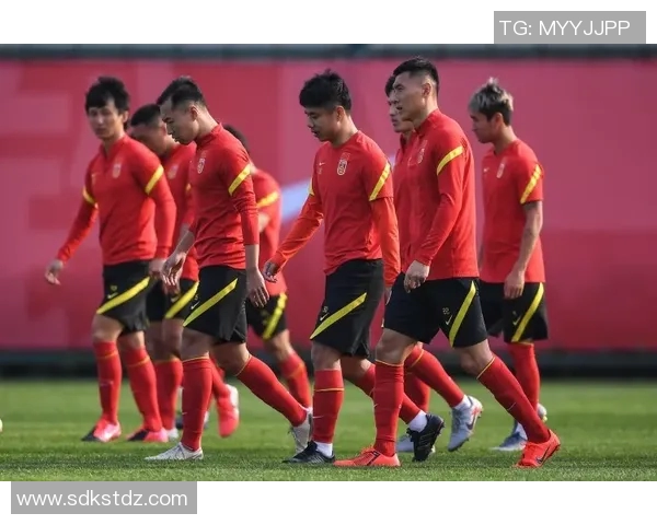 球星眼中的中国足球：机遇与挑战并存的未来之路