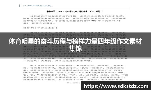 乐发Vll官网