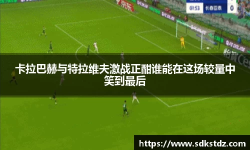 乐发Vll官网